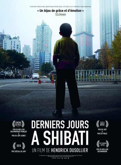 Derniers Jours à Shibati, Hendrick Dusollier, France, 2018, 58’